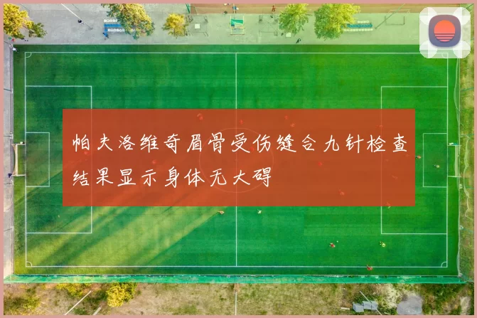 帕夫洛维奇眉骨受伤缝合九针检查结果显示身体无大碍