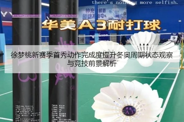 徐梦桃新赛季首秀动作完成度提升冬奥周期状态观察与竞技前景解析